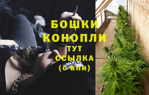 гидра Аркадак