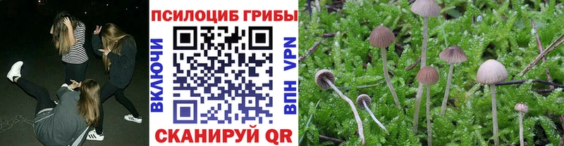 Псилоцибиновые грибы мицелий Олонец